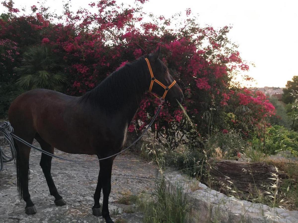 Country Sicily Home 파바라 외부 사진
