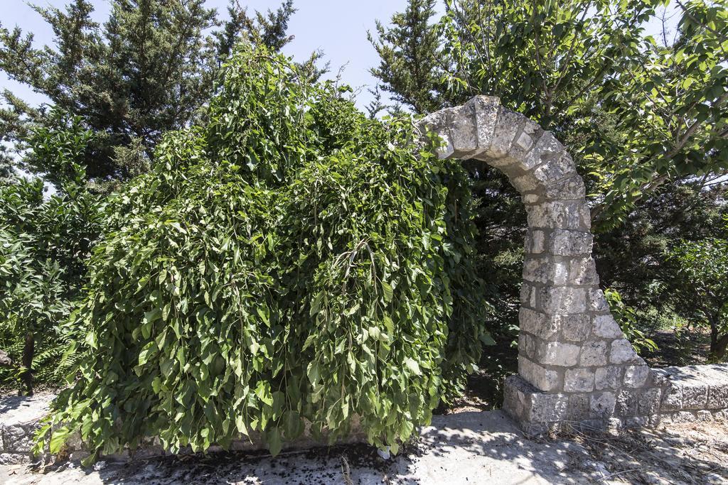 Country Sicily Home 파바라 외부 사진